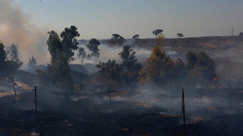 יותר מ-1,500 ק"מ של חורש ושטחים חקלאיים נשרפו השבוע ברחבי עוטף עזה כתוצאה מהפרחת בלוני תבערה מרצועת עזה 