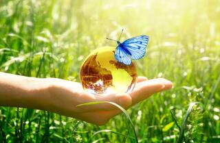 החרקים בעולם