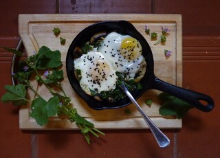 שקשוקה עם מנגולד