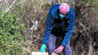 וילי משחרר את הנצה אל הטבע