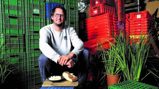 "מתגעגע לראות צלחות אמיתיות ואנשים ליד השולחן". דוקטור והלאבנה 