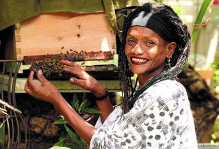 סוזי בן אליהו. "חיינו תלויים בדבורים”