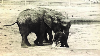 יוסי בעת החילוץ  