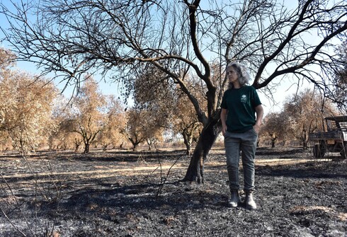 שבועיים אחרי שמטע הזיתים המשפחתי עלה באש, אילה נוי ממושב ציפורי מספרת על המשך המאבק למען חקלאות ישראלית 