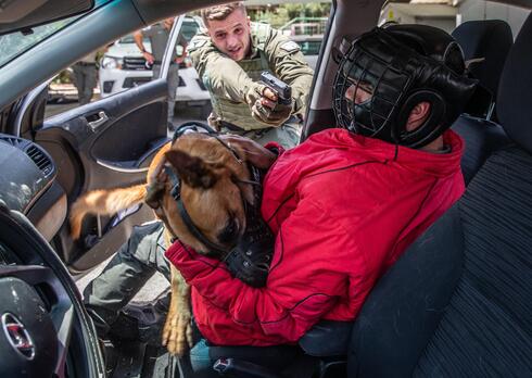 הכלבים הקרביים של ירושלים: ביקור בכלביה של משמר הגבול 